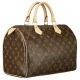 Bolsa Louis Vuitton (BLV 24)