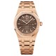 Audemars Piguet Royal Oak (AP 15)