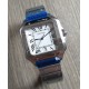 Cartier (CT 02) Slim