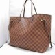 Bolsa Louis Vuitton (BLV 10)